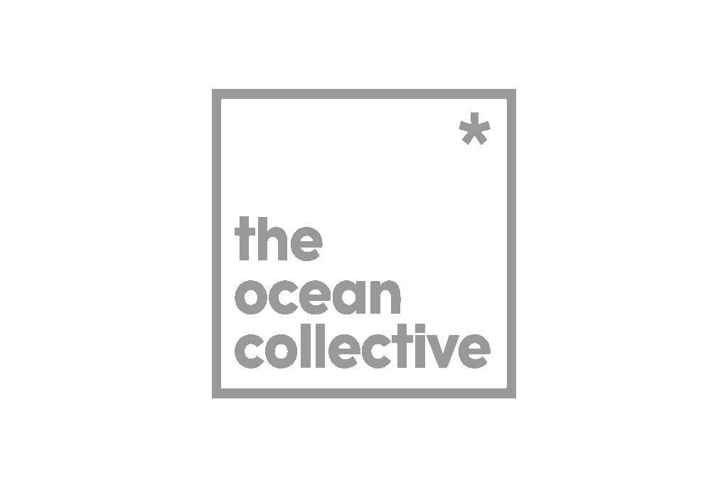 the ocean collective